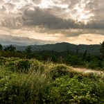 Aire de repos vers Bologne